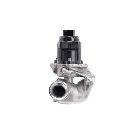 Valeo EGR Valve   700474
