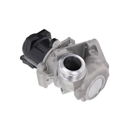 Valeo EGR Valve   700474