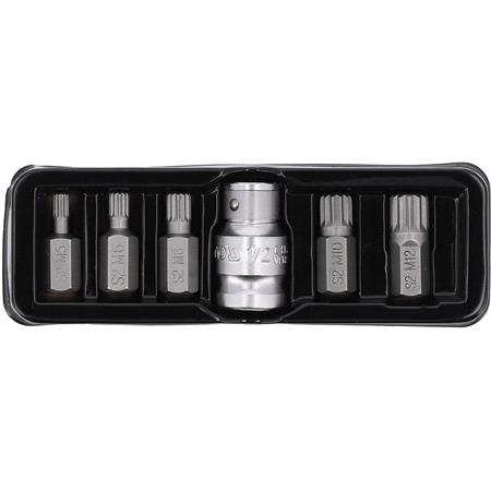 SCREWDRIVER BIT SET /SPLINE/ 6PCS