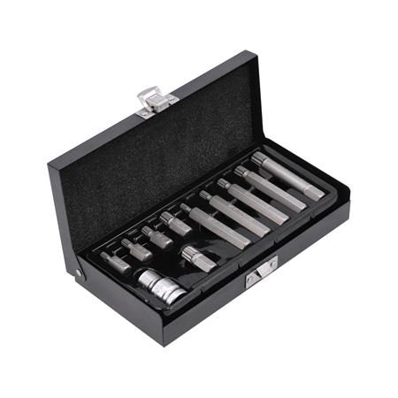 SCREWDRIVER BIT SET /SPLINE/ 11PCS
