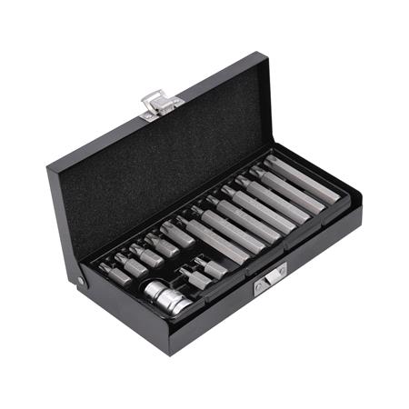 SCREWDRIVER BIT SET TORX S.T20 T55 15PCS