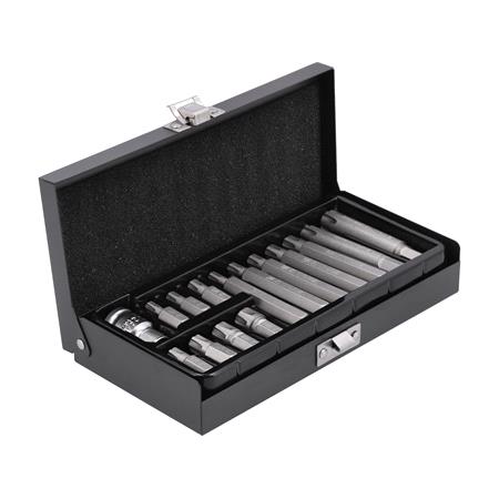 SCREWDRIVER BIT SET  RIBE M6 M14 15PCS
