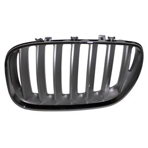 Grilles, Bmw X5 Series E53 2004 2006 Grille L.H. (Passengers Side), Titanium, 