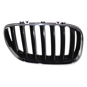 Grilles, Bmw X5 Series E53 2004 2006 Grille R.H. (Drivers Side), Chrome, 