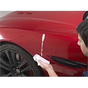 Autoglym Bird Dropping Wipes - Stop Permanent Staining