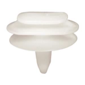 Body, Restagraf Body, Restagraf