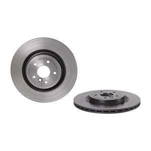 Brake Discs, Brembo Rear Axle Brake Discs (Pair)   Diameter: 325mm, Brembo