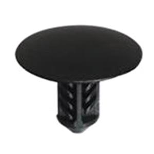 Body, Restagraf Body, Restagraf