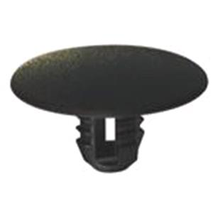 Body, Restagraf Body, Restagraf