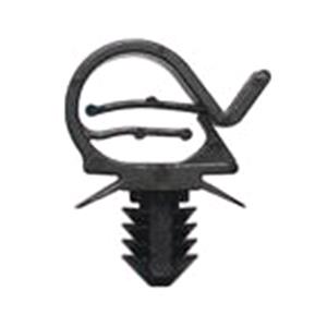 Body, Restagraf Body, Restagraf