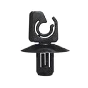 Body, Restagraf Body, Restagraf