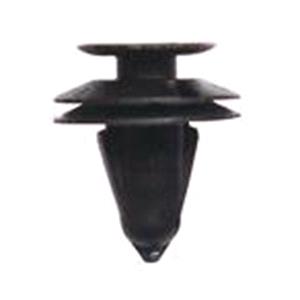 Body, Restagraf Body, Restagraf