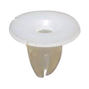 Body, Restagraf Body, Restagraf