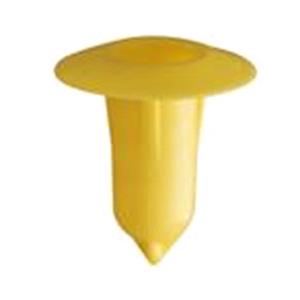 Body, Restagraf Body, Restagraf