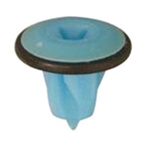 Body, Restagraf Body, Restagraf