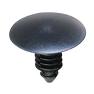 Body, Restagraf Body, Restagraf