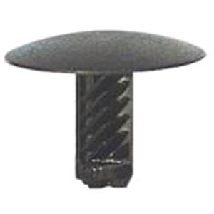 Body, Restagraf Body, Restagraf