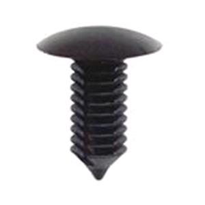 Body, Restagraf Body, Restagraf