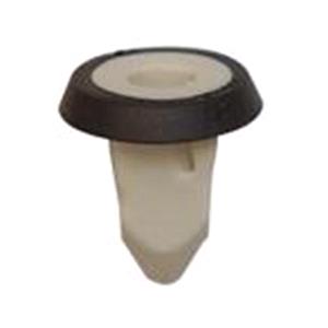 Body, Restagraf Body, Restagraf