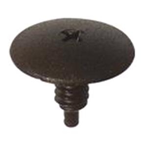 Body, Restagraf Body, Restagraf