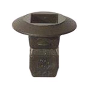 Body, Restagraf Body, Restagraf