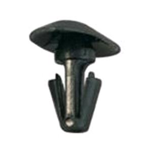 Body, Restagraf Body, Restagraf