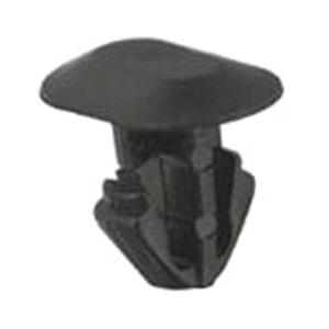 Body, Restagraf Body, Restagraf