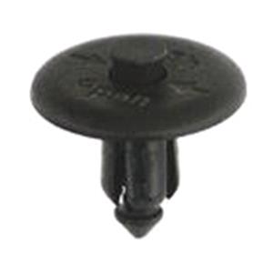 Body, Restagraf Body, Restagraf