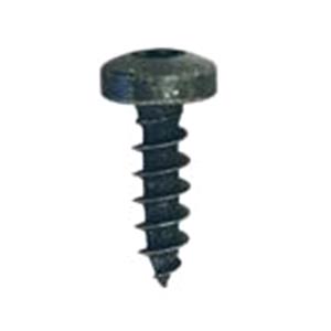 Body, Restagraf Body, Restagraf