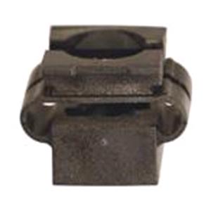 Body, Restagraf Body, Restagraf