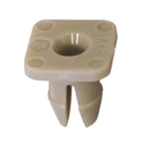 Body, Restagraf Body, Restagraf