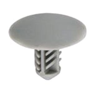 Body, Restagraf Body, Restagraf