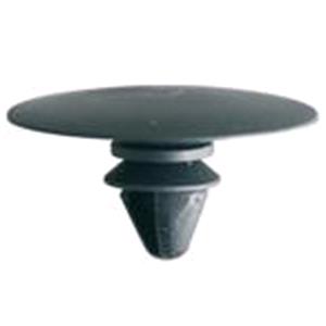 Body, Restagraf Body, Restagraf