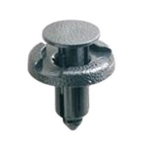 Body, Restagraf Body, Restagraf