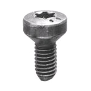 Body, Restagraf Body, Restagraf