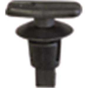 Body, Restagraf Body, Restagraf