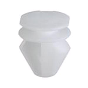 Body, Restagraf Body, Restagraf