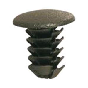 Body, Restagraf Body, Restagraf