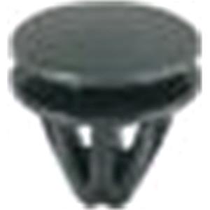 Body, Restagraf Body, Restagraf