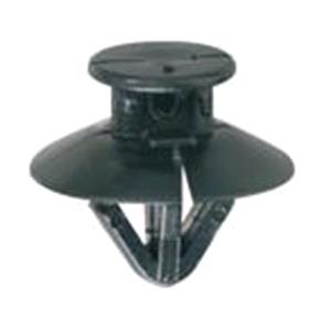 Body, Restagraf Body, Restagraf