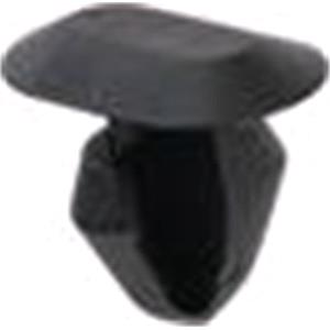 Body, Restagraf Body, Restagraf