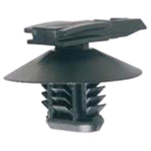 Body, Restagraf Body, Restagraf