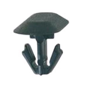 Body, Restagraf Body, Restagraf