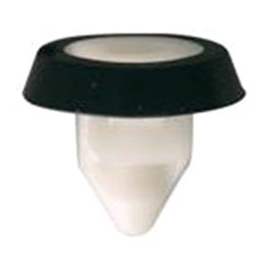 Body, Restagraf Body, Restagraf