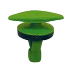 Body, Restagraf Body, Restagraf