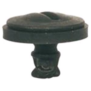 Body, Restagraf Body, Restagraf