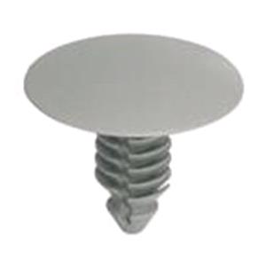 Body, Restagraf Body, Restagraf