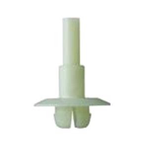 Body, Restagraf Body, Restagraf