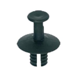 Body, Restagraf Body, Restagraf