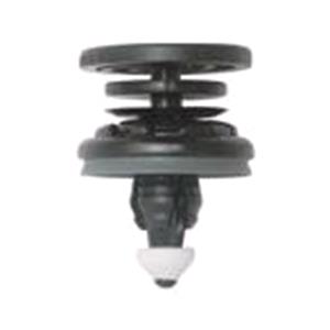 Body, Restagraf Body, Restagraf